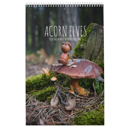 Calendrier photo Acorn Elves / Dubanci (Protection)