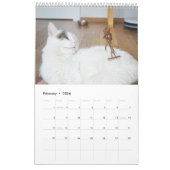 Calendrier photo Acorn Elves / Dubanci (Feb 2026)