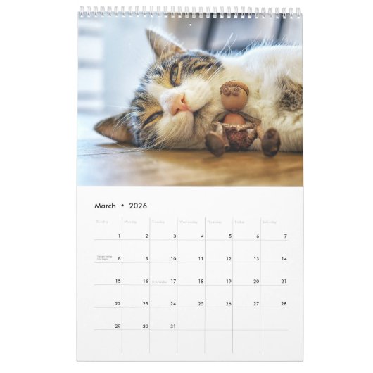 Calendrier photo Acorn Elves / Dubanci (Mar 2026)