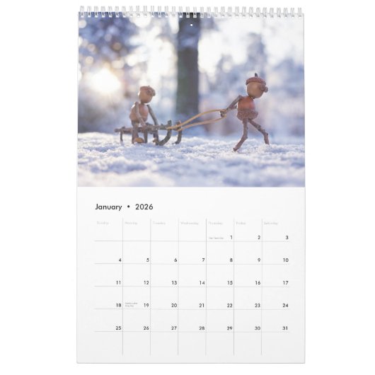 Calendrier photo Acorn Elves / Dubanci (Jan 2026)