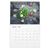 Calendrier photo Acorn Elves / Dubanci (Feb 2026)