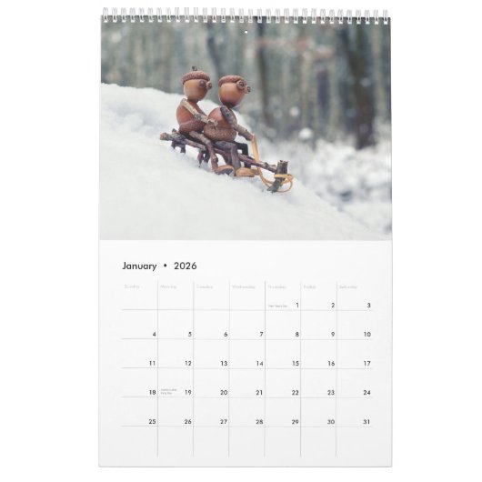 Calendrier photo Acorn Elves / Dubanci (Jan 2026)