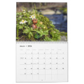 Calendrier photo Acorn Elves / Dubanci (Mar 2026)