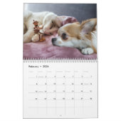 Calendrier photo Acorn Elves / Dubanci (Feb 2026)