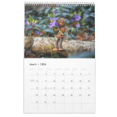 Calendrier photo Acorn Elves / Dubanci (Mar 2026)