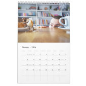 Calendrier photo Acorn Elves / Dubanci (Feb 2026)