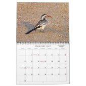 CALENDRIER PHOTO AFRICAINE SAFARI  (Feb 2027)