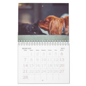 Calendrier photo avec chiot petit (Feb 2027)