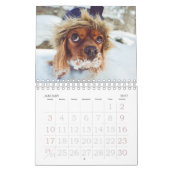 Calendrier photo avec chiot petit (Jan 2027)