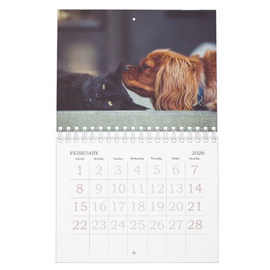 Calendrier photo avec chiot petit (Feb 2026)