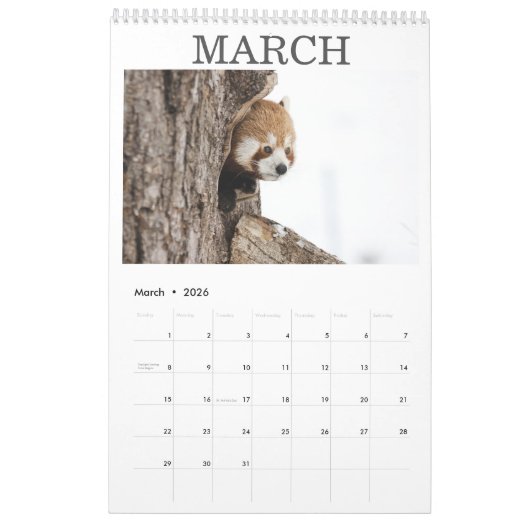 Calendrier Photo blanche moderne personnalisée 2021 (Mar 2026)