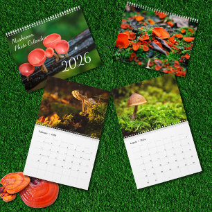 Calendrier Photo Champignon Enchanté 2026