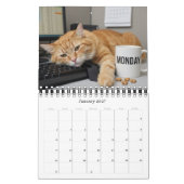 Calendrier Photo Chats Amusants au Bureau 2026 / C (Jan 2027)