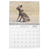 CALENDRIER PHOTO CLASSIQUE BOTSWANA SAFARI (Jan 2026)