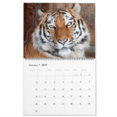 Calendrier photo de Big Cats (Jan 2027)