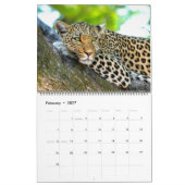 Calendrier photo de Big Cats (Feb 2027)