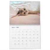 Calendrier Photo de chaton et chat mignon (Mar 2027)
