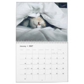 Calendrier Photo de chaton et chat mignon (Jan 2027)