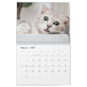 Calendrier Photo de chaton et chat mignon (Feb 2027)