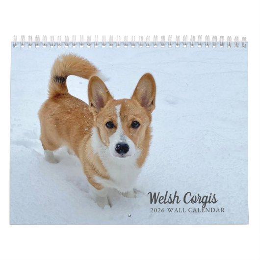 Calendrier Photo de Chien Corgi gallois mignon 2026 Mur (Protection)