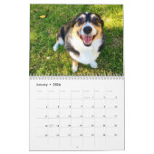 Calendrier Photo de Chien Corgi gallois mignon 2026 Mur (Jan 2026)