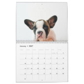 Calendrier Photo de chien moderne | Devis de chien (Jan 2027)