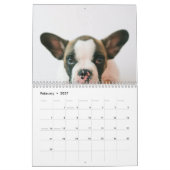 Calendrier Photo de chien moderne | Devis de chien (Feb 2027)