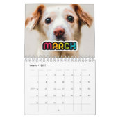 Calendrier photo de famille coloré 2026 (Mar 2027)