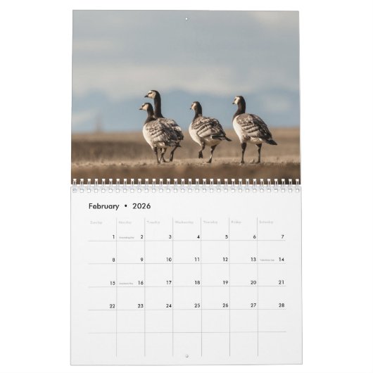 Calendrier Photo de la faune des oiseaux 2026 (Feb 2026)