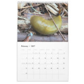 Calendrier Photo de l'artiste (Feb 2027)