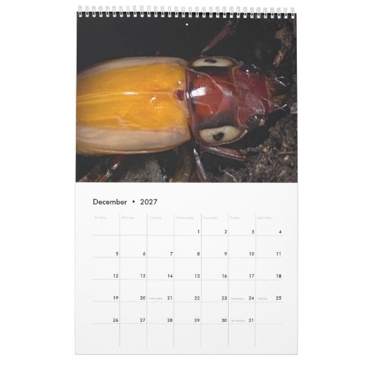 Calendrier Photo de l'artiste (Dec 2027)