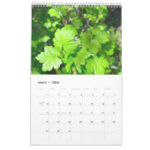 Calendrier Photo de l'artiste (Mar 2026)