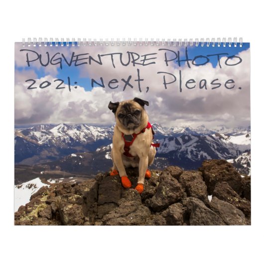 Calendrier photo de Pugventure 2021 : Ensuite, S'I (Protection)