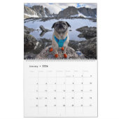 Calendrier photo de Pugventure 2021 : Ensuite, S'I (Jan 2026)