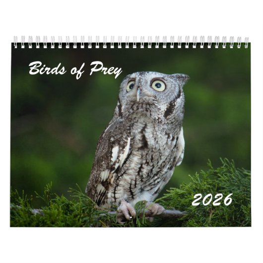 Calendrier photo de rapaces incroyables 2026 (Protection)