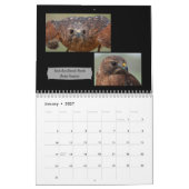 Calendrier photo de rapaces incroyables 2026 (Jan 2027)