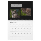 Calendrier photo de rapaces incroyables 2026 (Feb 2027)