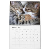 Calendrier photo des chats 2026 (Feb 2026)
