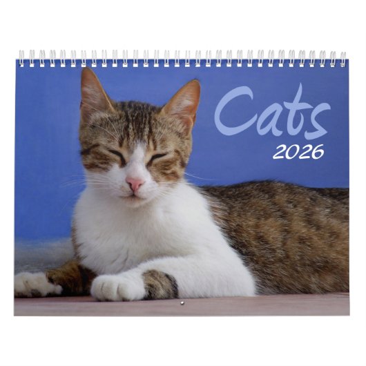 Calendrier photo des chats 2026 (Protection)