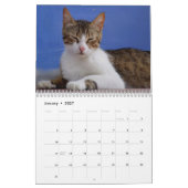 Calendrier photo des chats 2026 (Jan 2027)