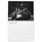 Calendrier photo des chats noirs 2025 (Feb 2027)