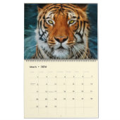 Calendrier photo des magnifiques Big Cats (Mar 2026)