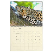 Calendrier photo des magnifiques Big Cats (Feb 2026)