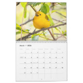 Calendrier photo des oiseaux 2025 - Parulines (Mar 2026)