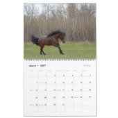 Calendrier photo équine 2024 (Mar 2027)