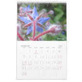 Calendrier Photo florale (Feb 2027)