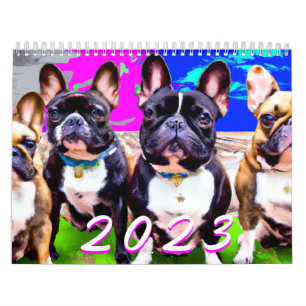 Calendrier photo français Bulldog migre Frenchie