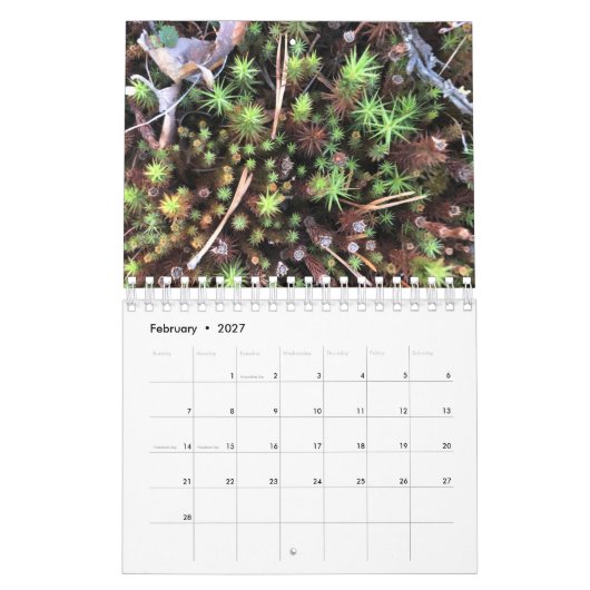 Calendrier photo graphique (Feb 2027)