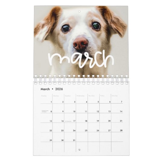 Calendrier Photo moderne mignonne 2026 (Mar 2026)