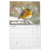 Calendrier photo Oiseau sauvage (Jan 2027)